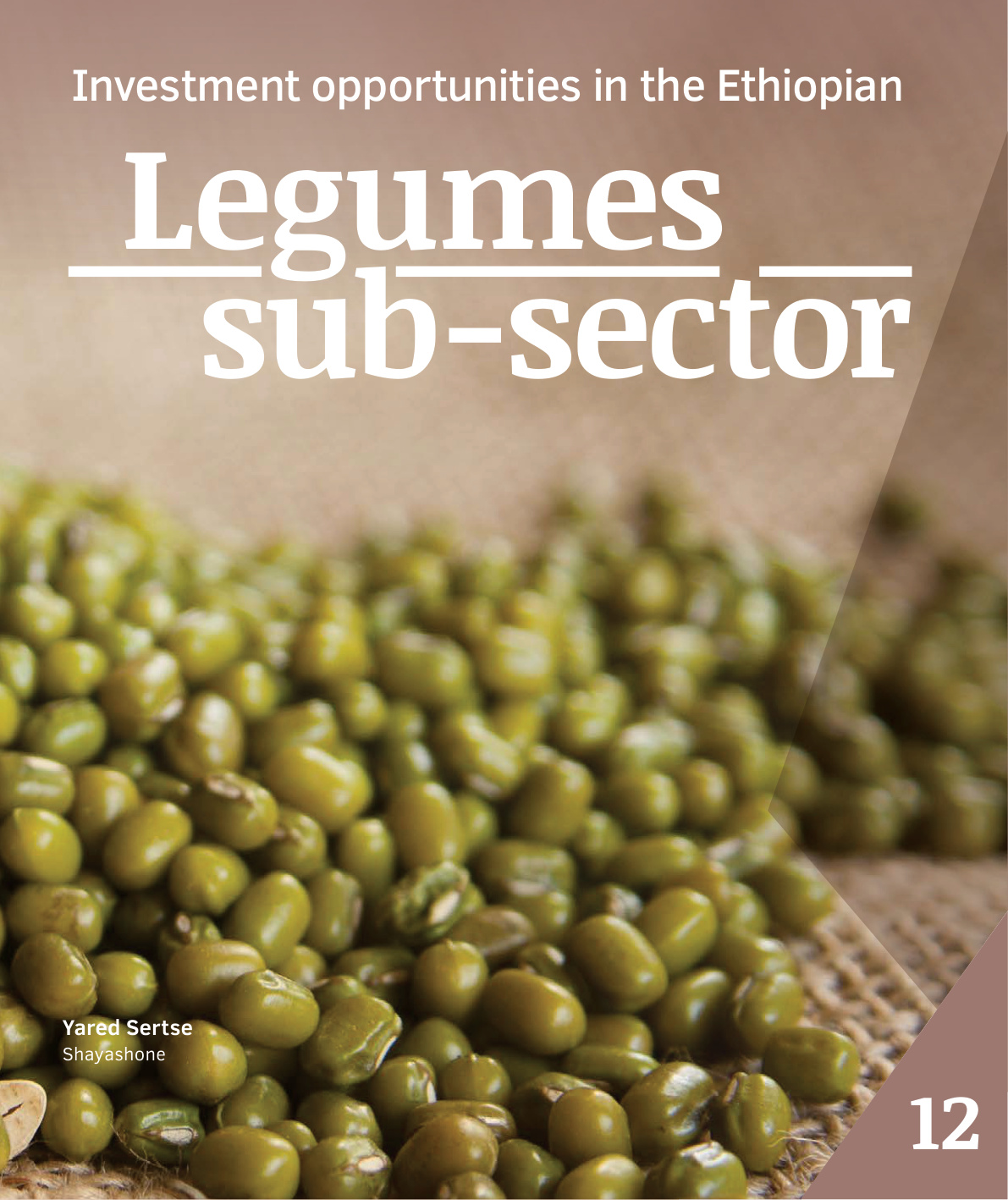 Legumes export overview from Legume BOR brochure