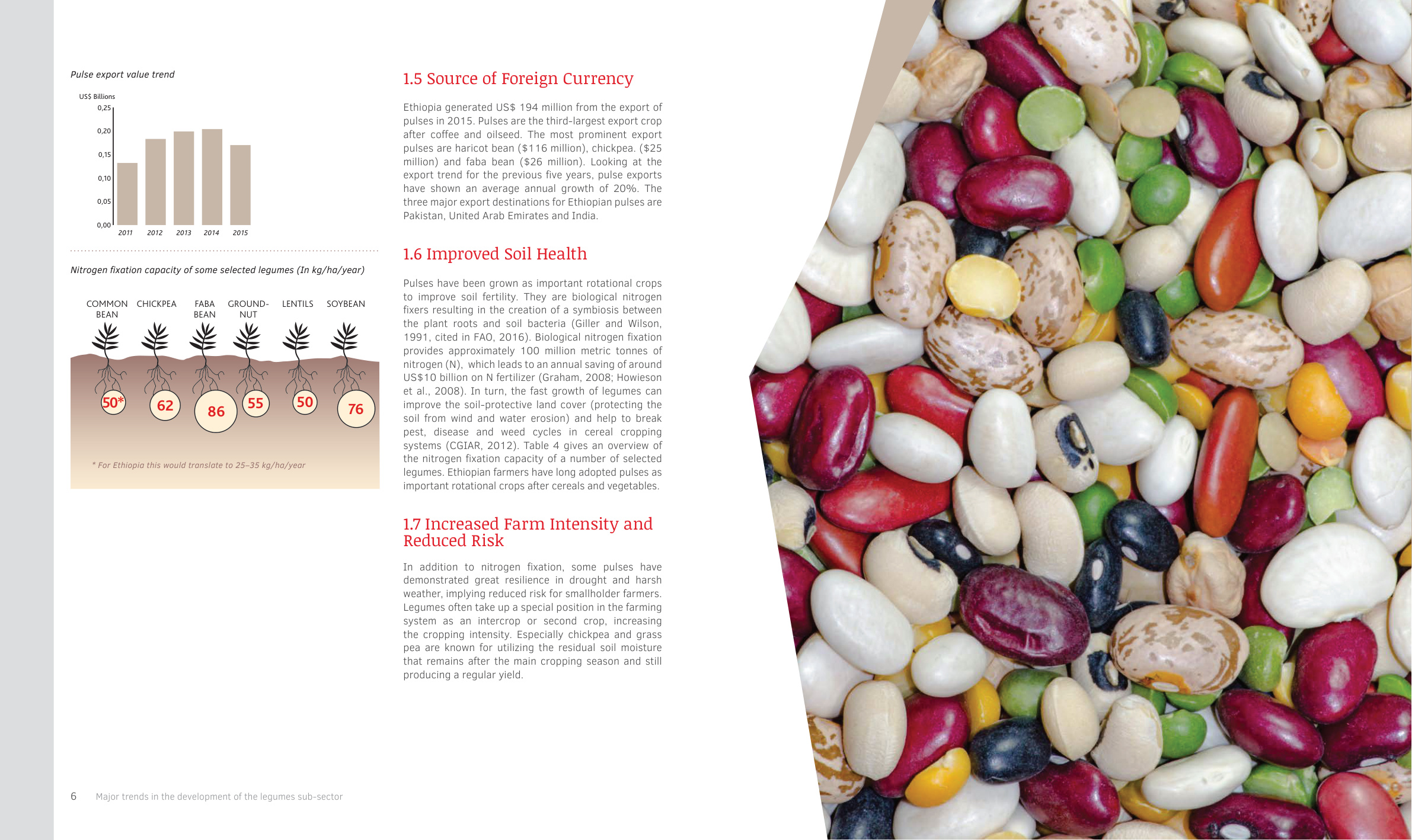 Broad and fava beans (Legume BOR brochure)